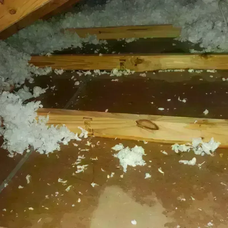 Attic Water Damage in Weatherford, OK