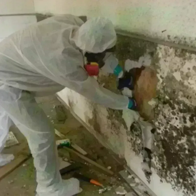 Mold Remediation and Removal in Weatherford, OK