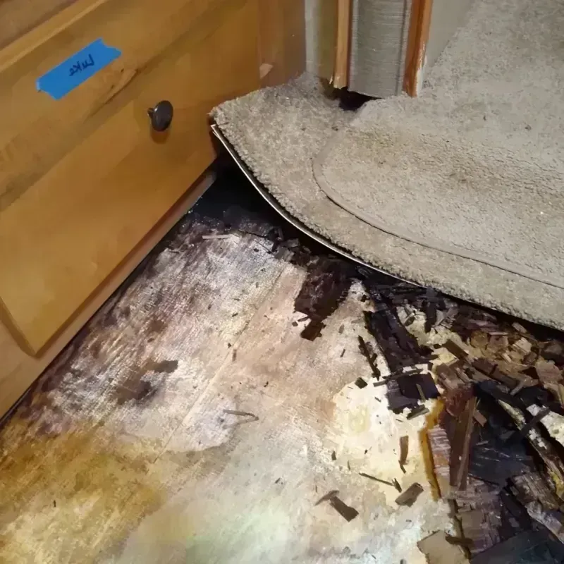 Wood Floor Water Damage in Weatherford, OK